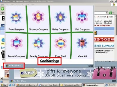 CoolSavings Targeting Buy.Com via Direct  Revenue